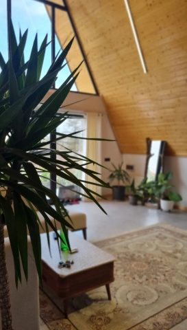 سوئیسی مدرن مدوبن