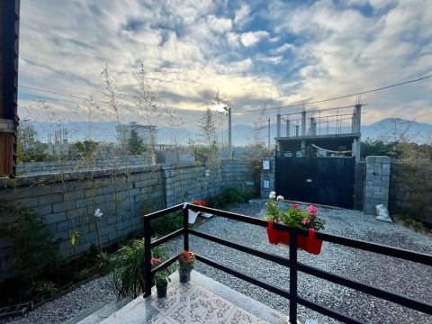 سوییسی لیلی
