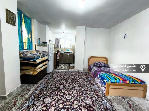 چی چی نی