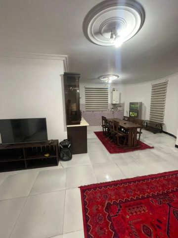 شبنم با فوتبال دستی