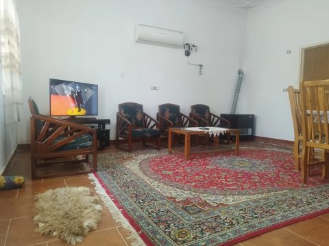 شمشاد