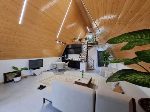 سوئیسی مدرن مدوبن