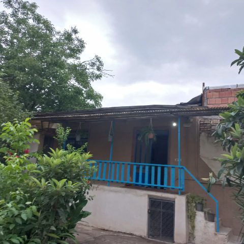 سمیم