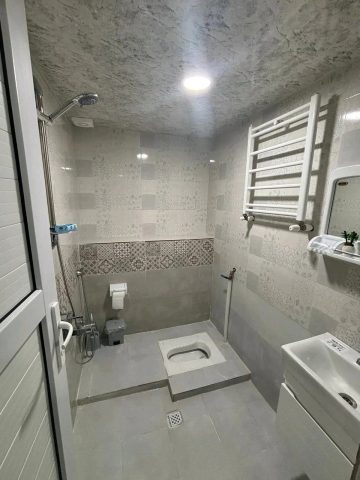 جنگلی ویلاتو