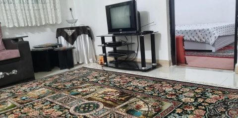 شادنشین