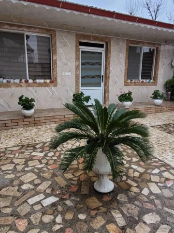ستاره