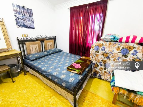شقایق جنگلی (1)