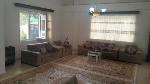میرزایی